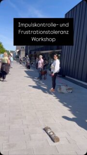 Was für ein schöner Workshop-Tag!
Heute drehte sich alles um Impulskontrolle & Frustrationstoleranz – und was sollen wir sagen? Unsere Zwei- und Vierbeiner haben großartig mitgemacht!
Mit viel Feingefühl, Geduld und Humor haben wir gemeinsam an Selbstbeherrschung, Frustbewältigung und klarer Kommunikation gearbeitet.
Ein riesiges Dankeschön an alle Teilnehmer – ihr wart super engagiert, offen und mit vollem Herzen dabei!
Für alle, die diesmal nicht dabei sein konnten:
Wir wiederholen den Workshop! Termin folgt! 
Möchtest du beim nächsten Mal dabei sein? Dann schreib uns eine Nachricht oder guck regelmäßig auf unsere Homepage www.dieters-Hundeschule.de #impulskontrolle #impulskontrollehund #frustrationstoleranz #frustrationstoleranzüben #hundetraining #leinenführigkeit #leinenpöbler #leinenführung #gemeinsamsindwirstark #bindung #antijagdtraining #jagdverhalten