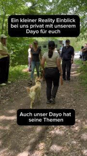 Ein kleiner Reality-Ausschnitt aus unserem Alltag.

Auch unser Dayo hat seine Themen:
Gehen in einer Hundegruppe, wie Social Walk, fällt ihm sehr schwer.
Enge Nähe mit anderen Hunden oder fixierende Hunde stressen ihn.

Wir trainieren daran.
Wir diskutieren darüber.
Und manchmal ist es auch einfach anstrengend.

Aber wir haben gelernt: Nicht jeder Hund kann alles leisten.
Und das ist völlig okay.

So wie wir Menschen Dinge gut können – und andere eben nicht

Trainiert eure Hunde.
Gebt ihnen eine gute solide Basis.

Aber erwartet keine Perfektion.

Und denkt bitte nicht, wir hätten den perfekten Hund…Haben wir nicht.

Aber wir lieben unseren Buben über alles.

Und denkt dran: Perfekte Hunde braucht es nicht. Echte Teams schon.
#hundetraining #hundeliebe #hundebegegnung #hundemachenglücklich #hundesindfamilie perfektunperfekt jederhatschwächen