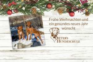 Frohe Weihnachten wünscht Dieter's Hundeschule