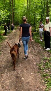 Leinenführigkeit, Hundebegegnungen - es sind oft die kleinen Dinge, die zählen!
„Wie bekomme ich Leinenführigkeit bzw. Hunde Begegnungen gut hin“, sind immer die meist gestellten Fragen. Leider ist das in ein paar Worten nicht erklärt.
Für mich ist wichtig, man sollte nicht anfangen an diesen „Problemen“ zu arbeiten, sondern muss bei der Basis beginnen und dann werden sich nach und nach auch die „größeren Probleme“ ändern. Sehr häufig höre ich im Gespräch mit Kunden, „bei uns passt die Basis“ oder „zu Hause ist er ja brav“, aber wenn man dann kleinste Stellschrauben austestet, dann funktioniert plötzlich gar nicht mehr so viel.
> Warum die Basics so wichtig sind... Aber du denkst dir, ich wollte doch wissen, wie ich meinem Hund Leinenführigkeit bei bringe...?
Hunde denken in Momenten, nicht in großen Konzepten. Ein kleines Missverständnis kann Frust verursachen - und die Lösung ist oft überraschend simpel. Mit unserem ganzheitlichen Training wirst du sensibilisiert für diese Feinheiten und stärkst die Bindung zu deinem Hund.
> Im Hundetraining machen oft die kleinsten Veränderungen den größten Unterschied. Vom Timing beim Lob bis hin zur richtigen Körpersprache - genau diese Details entscheiden, wie gut dein Hund versteht, was du von ihm möchtest.
Ohne eine solide Basis wird der Alltag schnell stressig für dich und auch deinen Hund. Egal ob Anfänger oder Auffrischung - unser Training ist individuell auf dich und deinen Hund abgestimmt.
Nächste Workshops für Leinenführigkeit + Hundebegegnungen am 25.10. 10.30 Uhr neuer extra Termin!!! und 15.11. 10.30 Uhr. Melde dich gern bei Interesse #hundetraining #leinenführigkeit #hundeliebe #leinenführigkeitstraining #maulkorbfürmehrfreiheit #hundebegegnung #hundebegegnungenüben #hundebegegnungsouveränmeistern #team #basisarbeit #zusammen #zusammensindwirstark