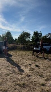 Dein Hund – dein Teamwork!
Jeder fängt mal an – auch wir arbeiten immer an uns.
Denn nur wer übt, kann wachsen. 💪
Bei uns zählt nicht Perfektion, sondern der Weg dorthin.
💛 Mach dir keinen Kopf, egal welches Thema – bei uns ist wirklich jede(r) willkommen.
Komm vorbei, trainiere mit uns und erlebe, wie viel leichter Spaziergänge werden können!
Weil der Anfang zählt…
Komm mit uns den ersten Schritt gehen!
Nächster Termin: 25.10. um 10:30 Uhr in 93161 bei Regensburg laden wir dich ein zu unserem Workshop „Leinenführigkeit & Hundebegegnungen“. Wir freuen uns auf euch! #hundetraining #leinenführigkeit #team #hundebegegnung #vertrauen #hundeliebe #leinenpöbler #leinenführigkeitstraining #veränderung #unterstützung