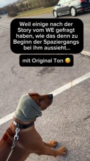 Ein spontaner Spaziergang an einem völlig unbekannten Ort.

Rückfahrt am Wochenende, kurz von der Autobahn runter, einfach losgegangen.

Viele Gerüche, neue Umgebung, viel zu verarbeiten.

Wir zeigen hier nur einen kleinen Ausschnitt aus unserem Alltag.

Nicht perfekt. Nicht immer leicht.

Und trotzdem bleibt Orientierung – auch dann, wenn es herausfordernd ist.

Diese Ruhe entsteht nicht hier draußen.

Sondern durch die Arbeit an der Basis.

Und genau die macht solche Momente draußen überhaupt möglich. 

Alles andere wäre dem Hund gegenüber unfair. 
Denkt immer daran!

#hundetraining #hundemachenglücklich #Basistraining #leinenführigkeit #hundeschule
