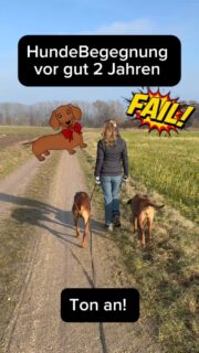 Egal wie weit weg du bist – wir sind nah dran

Dein Hund lebt nicht neben unserem „Trainingsplatz“
Er lebt bei dir.

Genau dort begleiten wir euch.

Im 4-Wochen Online-Coaching Basis schickst du uns Situationen aus deinem Alltag einfach per WhatsApp – auch wenn du hunderte Kilometer entfernt bist.

Wir schauen hin, melden uns und besprechen miteinander. 

Nicht mit festen Terminen.
Sondern einfach, aber sicher im Hintergrund.

Fast so, als wäre jemand erreichbar, wenn du ihn brauchst.

Distanz spielt keine Rolle. Begleitung schon.

Dieses Coaching läuft nicht nebenbei.
Aber es läuft mit.

Sichere dir noch kurze Zeit den Einführungspreis! 

Link auch in Kommentaren:
https://dieters-hundeschule.de/online-coaching-4-wochen-intensivbegleitung/

#hundetraining #leinenführigkeit #hundebegegnung #coaching hundeliebe Team vertrauen Themenangehen Unterstützungholen