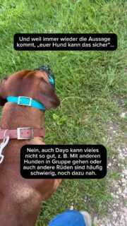 Auch unser Dayo ist nicht perfekt…

Aber wir arbeiten daran, aber akzeptieren auch mal wenn er Dinge schlecht leisten kann.

Man darf natürlich nicht alles hinnehmen, aber wir können euch nur sagen. 
Wir sind nicht perfekt und unser Hund auch nicht.

Bleibt dran und freut euch mehr über Fortschritte, die ihr gemeinsam schafft.

Dayo ist auch bei diesem Spaziergang mal nach vorn gegangen, Susi ist sogar hingefallen, weil sie gerutscht ist. 
Kann passieren, ist sicher nicht toll, aber der ganze Spaziergang war sehr anstrengend und dann muss man auch sehen, das er es die meiste Zeit gut gemacht hat.

Lasst euch von einem kurzen Moment nicht aus der Bahn werfen…
…aufstehen, Krönchen richten und weiter machen…

#hundetraining #hundebegegnung #leinenführigkeit #leinenpöbler #hundeliebe perfektunperfekt besterFreund tollerhund