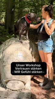 Vertrauen kann man nicht verlangen. Vertrauen darf wachsen. 

Genau darum ging es bei unserem gestrigen Workshop „Vertrauen stärken – WIR-Gefühl stärken“.

Gemeinsam ausprobieren, Herausforderungen meistern, Unterstützung anbieten – und auch akzeptieren, wenn etwas gerade noch nicht geht.

Denn nicht die perfekt bewältigte Aufgabe war das Ziel. Viel wertvoller waren die kleinen Momente dazwischen: wenn ein Hund sich an seinem Menschen orientiert, Hilfe annimmt, sich plötzlich doch etwas traut und merkt: „Wir schaffen das gemeinsam.“

Und davon gab es an diesem Tag jede Menge – genauso wie Spaß, gemeinsames Aushalten, Hundebegegnungen und natürlich unser gemeinsames Picknick. 

Ein wunderschöner Tag mit tollen Mensch-Hund-Teams und echten Gänsehautmomenten. 🫶

Und weil uns genau dieses Thema so wichtig ist, widmen wir uns im Oktober wieder ganz intensiv Vertrauen, Bindung und einem starken WIR-Gefühl zwischen Mensch und Hund.

Vielleicht möchtet ihr das auch einmal gemeinsam mit eurem Hund erleben? dann seid doch beim nächsten Mal dabei! 

#hundetraining #hundeliebe #hundebegegnung #leinenführigkeit #vertrauen hundemachenglücklich Partner Team gemeinsam