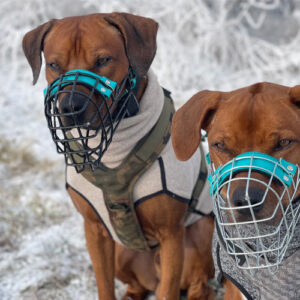 Hundeschule Maulkorbberatung