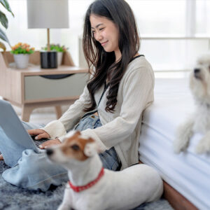 Hundeschule Onlinetraining