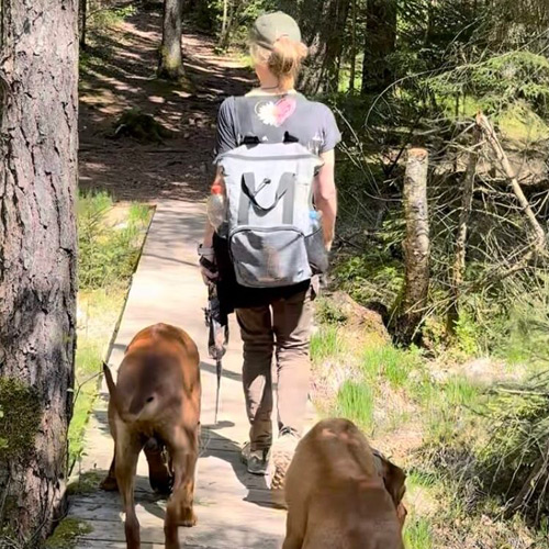 Hundeschule Workshops