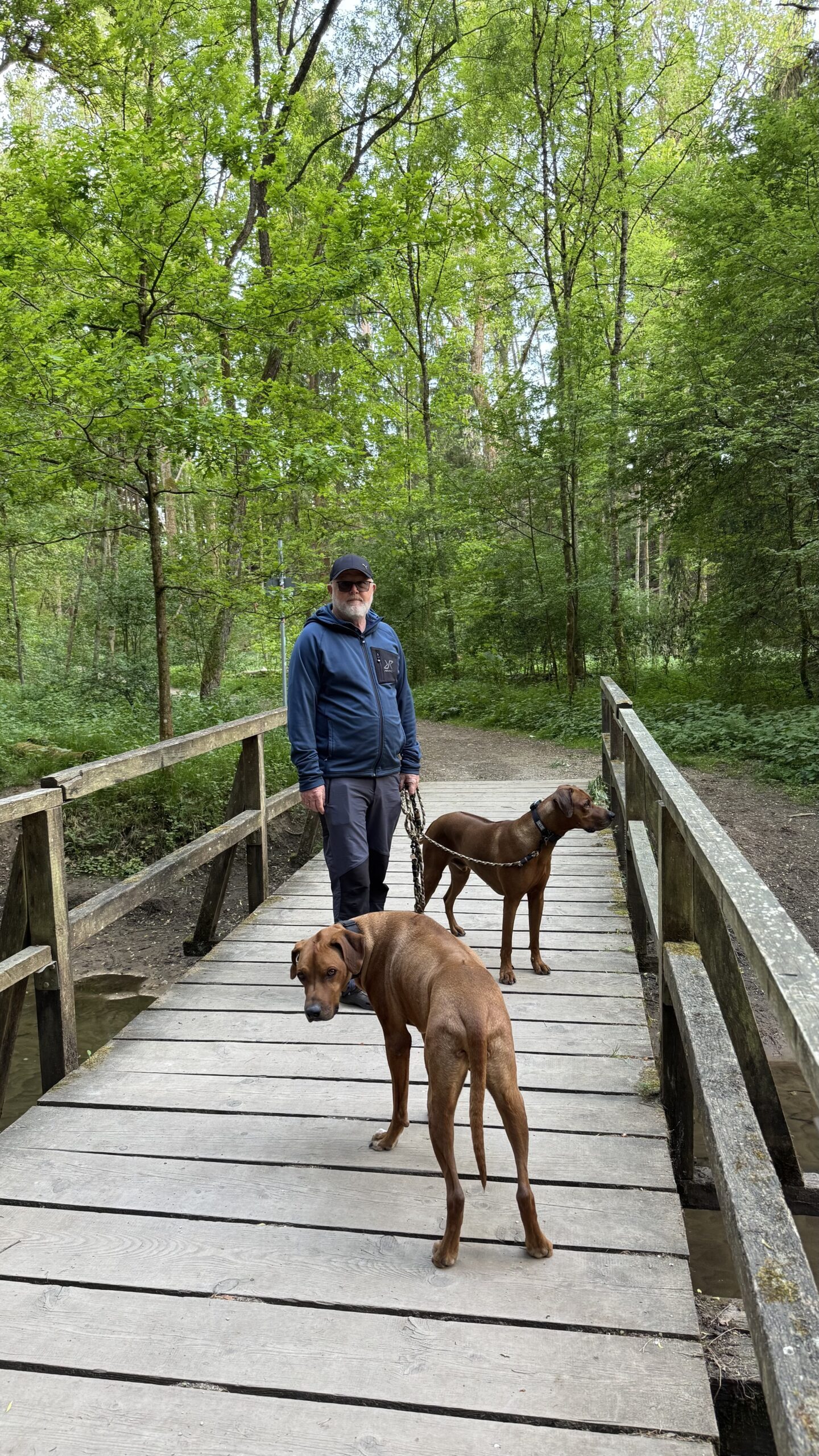 Workshop: Basistraining 2026