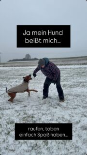 Manchmal erzählen mir Kunden, sie wären nur noch streng mit ihrem Hund.
Dass er sie „nervt“. Dass sie kaum noch loben, kaum noch streicheln.
Und ganz ehrlich? Sowas macht mich jedes Mal fertig.
Ja – wir müssen konsequent sein.
Ja – Hunde brauchen Struktur, Orientierung, Klarheit.
Aber sie brauchen genauso unser Herz. Unser Loben. Unsere Freude mit ihnen.
Unsere Hunde sind Familienmitglieder und Freunde.
Wenn ich mit meinem Hund Blödsinn mache – wie hier –
dann sehe ich dieses Leuchten, diese pure Lebensfreude.
Man kann ihm ansehen, wie glücklich er ist, wieviel Spaß er hat.
Und ja, da darf er an mir hochspringen, mich anrempeln, in meine Hände „beißen“, weil ich mich hier voll auf ihn einlasse, spiele, doof bin mit ihm. Und natürlich auch, weil ich es jederzeit abstellen könnte.
Und genau das ist der Punkt:
Hunde sind keine Maschinen.
Sie sind Familienmitglieder. Freunde.
Vergesst bei allem Training, allem Stress, allen Problemen niemals:
Ihr seid ein Team. Ihr gehört zusammen. Ihr sollt miteinander wachsen – nicht gegeneinander kämpfen.
Findet wieder das, was euch verbindet.
Das, was euch Freude macht.
Das, was euren Hund strahlen lässt.
Denn genau da entsteht Beziehung.
Und genau da entsteht das, was wir alle wollen:
Ein Hund, der gerne mit uns durchs Leben geht.
#hundetraining #team #vertrauen #hundeliebe #dogsofinstagram #Konsequenz #Freude #hundeglück #hundefreunde #hundebegegnung #hundeglücklich #hundeverrückt #hundeliebe❤️🐾 #hundesindfamilie #hundeschule #hundeblick #hundeleben #hundewelt