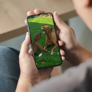 Online Coaching „4 Wochen Intensivbegleitung“