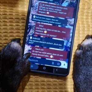 Online Coaching „4 Wochen Intensivbegleitung“