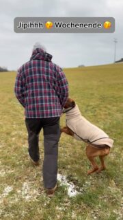 Unsere Hunde brauchen nicht viel – sie brauchen uns!

Bewusste Minuten, in denen wir präsent sind und einfach zusammen!

schnüffeln lassen, gemeinsam atmen, miteinander lachen, interagieren ohne große Gedanken… 

So wird aus Alltag „einfach“ Teamzeit!

Vergesst das bitte nicht!

Macht euch eine gute Zeit! 

#hundeliebe #team #vertrauen #hundemachenglücklich #gemeinsamezeit