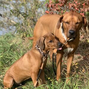 Dein Weg zum Team - das Starterpaket