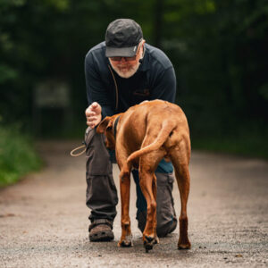 Dieter Neubig - Leistungen