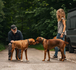 Dieter Neubig - Leistungen