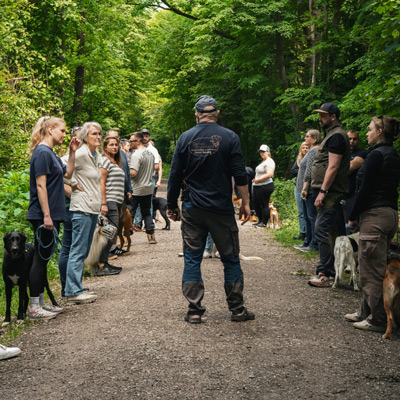Dieter Neubig - Leistungen Dieter Neubig - Leistungen